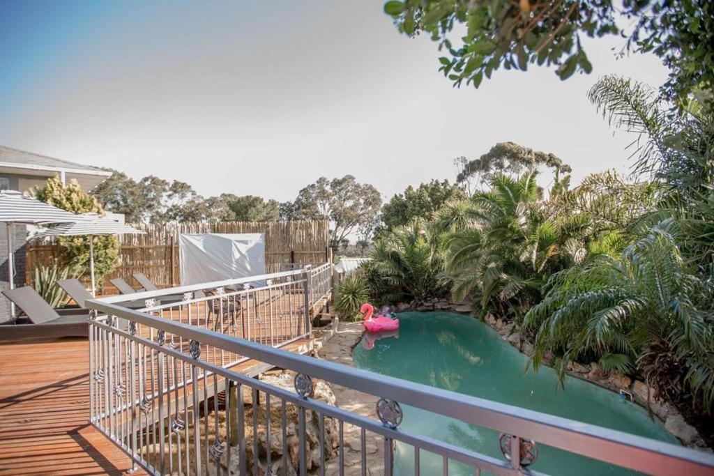 Thyme Wellness And Cape Town